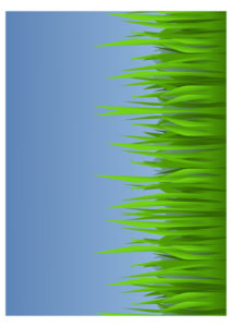 image of Grass Scene with blue sky background