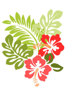 image of Hawaii Hibiscus