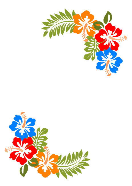 image of Hibiscus Border in white background