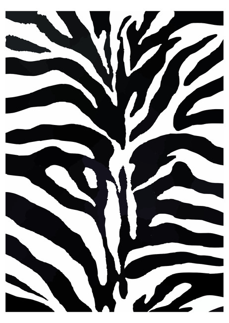 image of Zebra Pattern