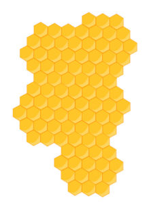 image of honeycomb pattern