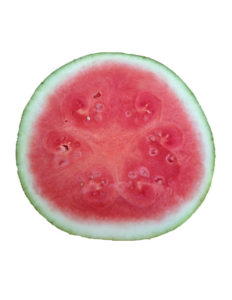 image of Watermelon Middle